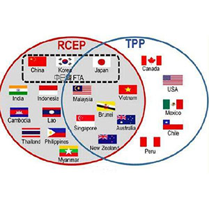中国加入全球最大自贸区RCEP，对中国外贸企业是个利好消息